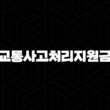 교통사고처리지원금 한도 2.5억 필수인 이유와 운전자보험 비교 15