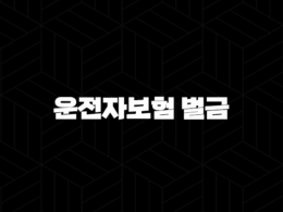 운전자보험 벌금(+ 제대로 알고 대비해야 하는 이유) 39