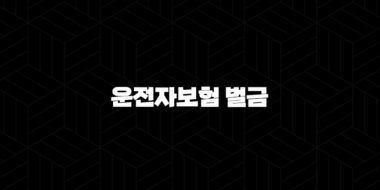 운전자보험 벌금(+ 제대로 알고 대비해야 하는 이유) 37