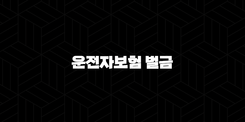 운전자보험 벌금(+ 제대로 알고 대비해야 하는 이유) 10 운전자보험 벌금(+ 제대로 알고 대비해야 하는 이유) 9