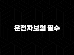 운전자보험 필수(+ 교통사고 후 인생을 지키는 최소한의 안전장치) 31