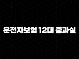 운전자보험 12대 중과실, 당신이 반드시 알아야 할 모든 것 34