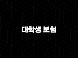 대학생 보험 현명하게 고르는 법(+ 20대 미래를 위한 필수 준비물) 27