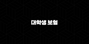 대학생 보험 현명하게 고르는 법(+ 20대 미래를 위한 필수 준비물) 29