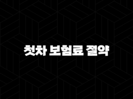 첫차 보험료 절약 총정리 20대를 위한 현실적인 가이드 21
