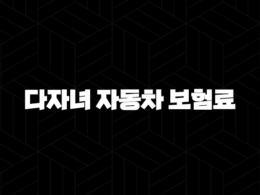 다자녀 자동차 보험료 할인 특약(+ 놓치지 말고 챙기세요!) 44