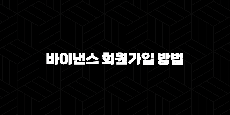 바이낸스 회원가입 방법 완벽 정복 : 가입부터 KYC 인증, 보안 설정까지! 꿀팁 대방출 10 바이낸스 회원가입 방법 완벽 정복 : 가입부터 KYC 인증, 보안 설정까지! 꿀팁 대방출 9