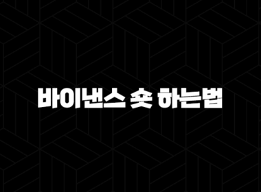 바이낸스 숏 하는법 - 하락장에서도 수익 내는 선물거래, 마진거래 총정리 41