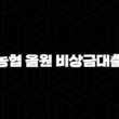 농협 올원 비상금대출 조건 금리 후기 신청 방법 완벽 정리! 15