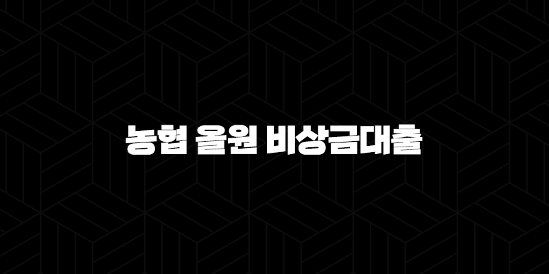 농협 올원 비상금대출 조건 금리 후기 신청 방법 완벽 정리! 19
