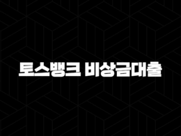 토스뱅크 비상금대출 금리부터 조건, 한도, 실제 후기까지 총정리 25