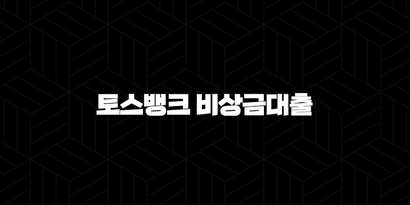 토스뱅크 비상금대출 금리부터 조건, 한도, 실제 후기까지 총정리 21