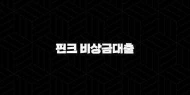 핀크 비상금대출, 조건 한도 금리 신청방법 후기까지 완벽정리 (feat. 무직자도 OK?) 43