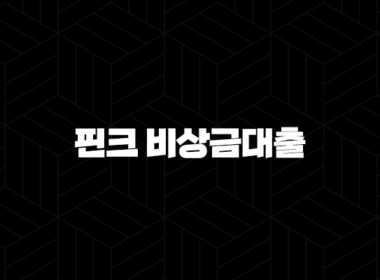 핀크 비상금대출, 조건 한도 금리 신청방법 후기까지 완벽정리 (feat. 무직자도 OK?) 17