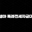 신생아 특례전세자금대출 완벽 분석 - 자격 조건부터 금리, 한도, 신청 방법까지 모든 것! 13