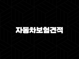 자동차보험견적 비교사이트 - 자동차보험료 절약하고 합리적으로 가입하는 방법 27