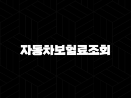 자동차보험료조회 다이렉트 - 자동차보험료 싸게 가입하는 방법 29
