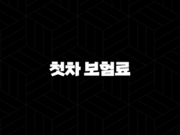 첫차 보험료 자동차 보험료 계산 - 현명하게 가입하고 절약하는 방법 41