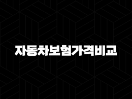 자동차보험가격비교 - 현명하게 자동차보험 가입하는 방법 꿀팁 23