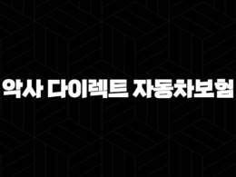 악사 다이렉트 자동차보험 - 나에게 맞는 보험료 확인하는 방법 25