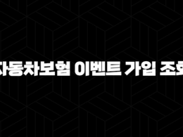 자동차보험 이벤트 가입 조회 - 혜택 받고 똑똑하게 가입하는 방법 알아봐요! 21