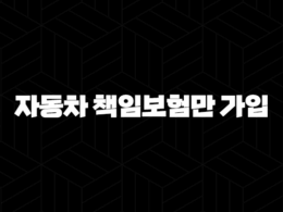 자동차 책임보험만 가입 - 과연 괜찮을까요? 핵심 가이드 17