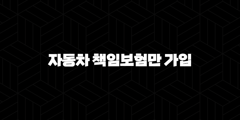 자동차 책임보험만 가입 - 과연 괜찮을까요? 핵심 가이드 10 자동차 책임보험만 가입 - 과연 괜찮을까요? 핵심 가이드 9