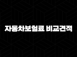 다이렉트 자동차보험료 비교견적 - 스마트하게 보험료 절약하는 확실한 방법 17