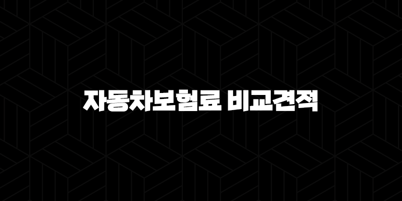다이렉트 자동차보험료 비교견적 - 스마트하게 보험료 절약하는 확실한 방법 10 다이렉트 자동차보험료 비교견적 - 스마트하게 보험료 절약하는 확실한 방법 9