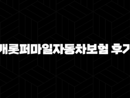 캐롯퍼마일자동차보험 후기 - 솔직한 장단점과 보험료, 사고처리 경험 공유해요! 25