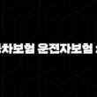 자동차보험 운전자보험 차이 - 핵심 보장과 선택 가이드 꼼꼼하게 살펴봐요! 15