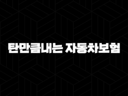 탄만큼내는 자동차보험(+ 주행거리 짧다면 필수적인 보험) 39