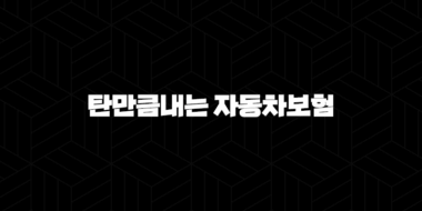 탄만큼내는 자동차보험(+ 주행거리 짧다면 필수적인 보험) 29