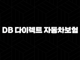 DB 다이렉트 자동차보험(+ 저렴하게 가입하고 다양한 할인 혜택 누려요) 34