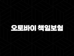 오토바이 책임보험 - 필수 가입 정보, 보장 내용, 미가입 시 불이익까지 꼼꼼히 살펴봐요! 38