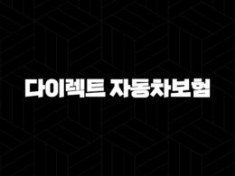 다이렉트 자동차보험 비교 견적 - 저렴하고 현명하게 고르는 법 17