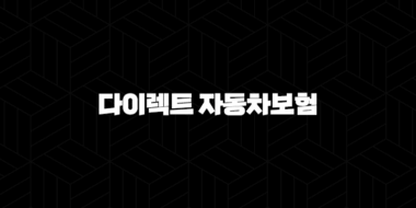 다이렉트 자동차보험 비교 견적 - 저렴하고 현명하게 고르는 법 33