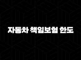 자동차 책임보험 한도 - 내 자동차 보험, 제대로 알고 가입했어요? 17
