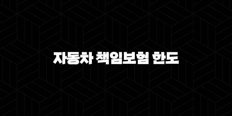 자동차 책임보험 한도 - 내 자동차 보험, 제대로 알고 가입했어요? 10 자동차 책임보험 한도 - 내 자동차 보험, 제대로 알고 가입했어요? 9