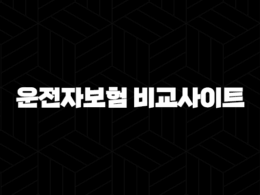 운전자보험 비교사이트 - 나에게 맞는 운전자보험 찾는 방법 25
