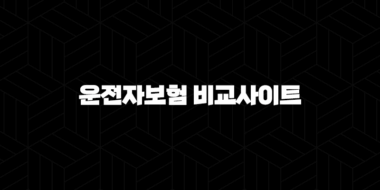 운전자보험 비교사이트 - 나에게 맞는 운전자보험 찾는 방법 25