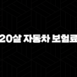 20살 자동차 보험료(+ 절약하고 현명하게 가입하는 방법) 15
