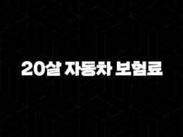 20살 자동차 보험료(+ 절약하고 현명하게 가입하는 방법) 36