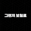 그랜저 보험료(+ 어떻게 하면 더 합리적일까요?) 13