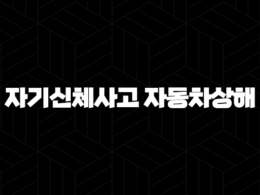 자기신체사고 자동차상해 - 자동차보험 선택의 핵심, 제대로 알고 가입해요! 42