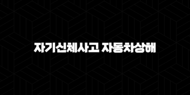 자기신체사고 자동차상해 - 자동차보험 선택의 핵심, 제대로 알고 가입해요! 29