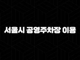 서울시 공영주차장 이용 - 쉽고 편리하게 이용하는 완벽 가이드 21