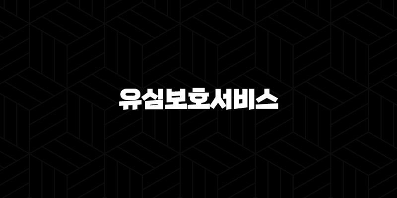 유심보호서비스 - 내 소중한 정보를 지키는 필수 안전 장치 9