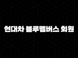 현대차 블루멤버스 회원(+ 스마트한 카라이프를 위한 필수 혜택 가이드) 29