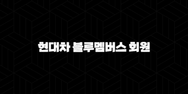 현대차 블루멤버스 회원(+ 스마트한 카라이프를 위한 필수 혜택 가이드) 29